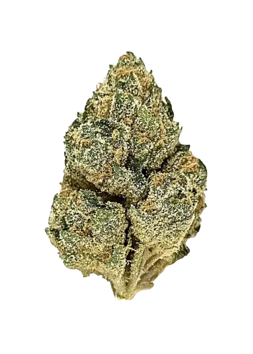 Studio 54, yakıtımsı aroması ve THC oranıyla öne çıkan Indica baskın türdür. Yaratıcılığı destekleyen etkilerini keşfedin ve hemen görüntüleyin.