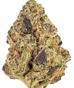 Runtz, tropikal şekerleme aroması ve dengeli genetiğiyle öne çıkan hibrit bir türdür. İştah ve uykusuzluk sorunlarına çözüm sunar. Özelliklerini keşfedin.