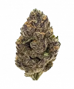 Runtz Cake, tatlı meyve aroması ve yüksek THC içeriğiyle bilinen dengeli bir hibrit türdür. White Runtz ve Wedding Cake genetiğini keşfedin ve etkilerini görüntüleyin.