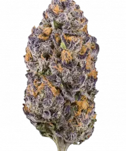 Runtz Carlton, yakıtımsı ve tatlı aromalarıyla öne çıkan Indica dominant bir türdür. Yüksek THC içeriğiyle yaratıcılığınızı artırır. Özelliklerini keşfedin.