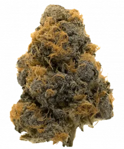 Runtz Muffin, tatlı aroması ve yüksek THC içeriğiyle bilinen Indica dominant bir türdür. Enerji veren etkilerini keşfedin ve genetik yapısını inceleyin.