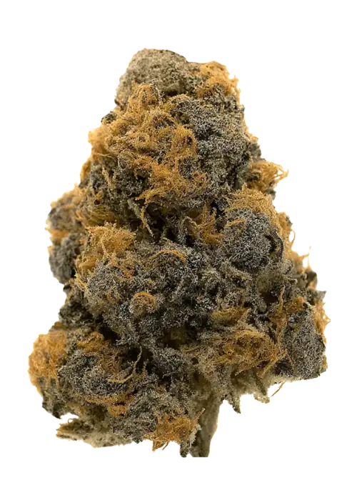 Runtz Muffin, tatlı aroması ve yüksek THC içeriğiyle bilinen Indica dominant bir türdür. Enerji veren etkilerini keşfedin ve genetik yapısını inceleyin.