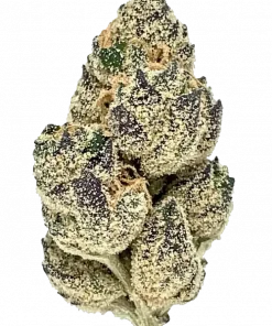 Russian Creme, tatlı vanilya aroması ve yüksek THC içeriğiyle bilinen Sativa baskın bir türdür. Ağrı ve depresyonu hafifletmeye yardımcı olabilir. Özelliklerini keşfedin.