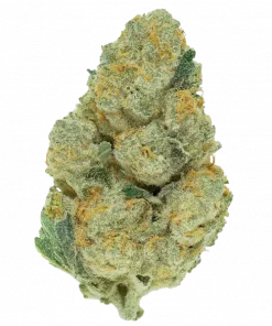 S.A.D. Sweet Afgani Delicious S1, toprak ve meyve aromalarıyla öne çıkan güçlü bir Indica türüdür. Uyku sorunları için ideal. Genetik yapısını keşfedin.