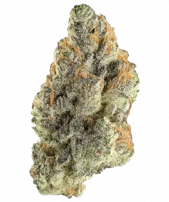 Sailor Moon, yaban mersini aromalı ve yüksek THC içeren güçlü bir Indica türüdür. Derin rahatlama ve uyku için ideal. Genetik yapısını keşfedin.