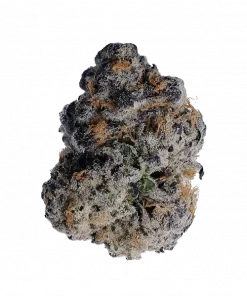 Samoas, fındık ve nane aromalarıyla öne çıkan dengeli bir hibrit türdür. Yaratıcılığı tetikleyen bu türün genetik yapısını keşfedin ve etkilerini görüntüleyin.