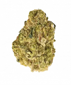 Satoshi, toprak aromaları ve rahatlatıcı etkisiyle bilinen Indica baskın bir türdür. Karmaşık lezzet profilini ve potansiyel faydalarını keşfedin.