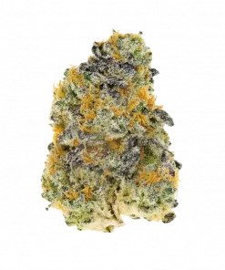 Scoops, yakıtımsı ve toprak aromalı, yüksek THC'li Indica baskın bir türdür. Yoğun rahatlama ve öfori için ideal. Genetik yapısını keşfedin.