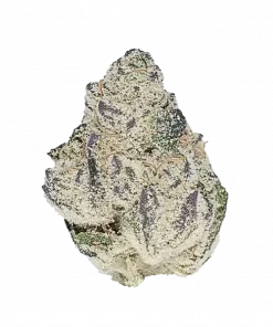 Secret Cookies, yaban mersini aroması ve yüksek THC içeriğiyle bilinen Indica baskın bir türdür. GSC ve Cherry Pie genetiğini keşfedin ve etkilerini görüntüleyin.