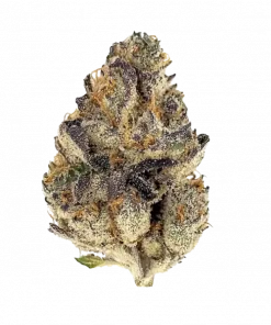 Secret Weapon, sert yakıtımsı aroması ve yüksek THC içeriğiyle bilinen Sativa baskın bir türdür. Enerji verici etkilerini ve genetik yapısını keşfedin.