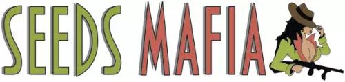 Seeds Mafia