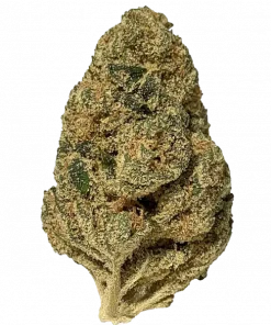 Sensi Star, çam ve narenciye aromalarıyla öne çıkan Indica baskın bir türdür. Yaratıcılığı artırır, sedasyon sağlar. Genetik yapısını keşfedin.