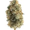 Sherb Breath, tropikal meyve aromaları ve dengeli etkisiyle öne çıkan indica baskın bir türdür. Stres ve yorgunluk için ideal. Genetik yapısını keşfedin.