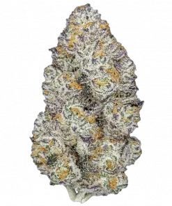 Sherb Cream Pop, tatlı meyve aromaları ve yüksek THC içeriğiyle bilinen Indica baskın bir türdür. Rahatlatıcı etkileriyle öne çıkar. Genetik yapısını keşfedin.