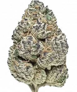 Sherbacio, kimyasal limon aroması ve yüksek THC içeriğiyle öne çıkan dengeli bir hibrit türdür. Rahatlatıcı etkileri ve genetik yapısını keşfedin.