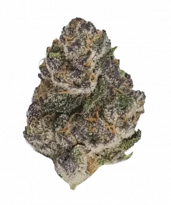 Seed Junky Sherb Cake, kremsi vanilya aroması ve yüksek THC içeriğiyle öne çıkan indica dominant bir türdür. Eşsiz lezzetini ve etkilerini keşfedin.