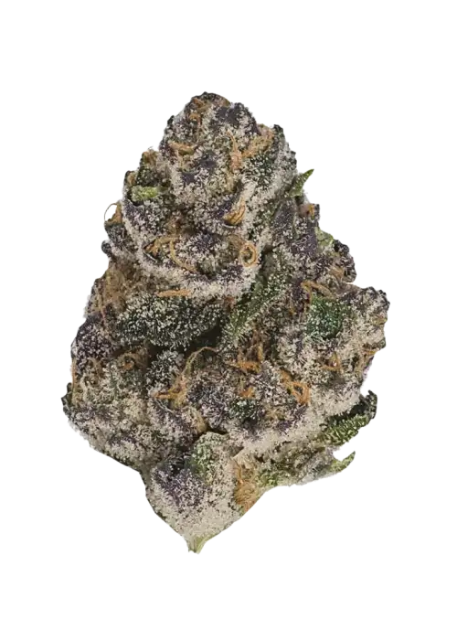 Seed Junky Sherb Cake, kremsi vanilya aroması ve yüksek THC içeriğiyle öne çıkan indica dominant bir türdür. Eşsiz lezzetini ve etkilerini keşfedin.