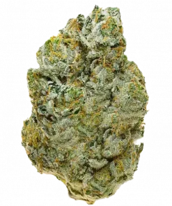 Sherbet Queen, şekerli aroması ve rahatlatıcı etkisiyle öne çıkan Indica dominant bir türdür. Depresyon ve stres için ideal. Genetik yapısını keşfedin.