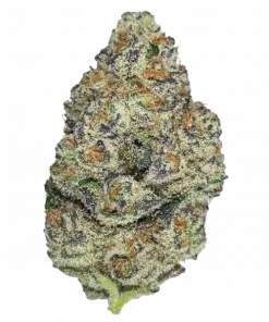 Sherbie Truffle, tatlı orman meyveleri aroması ve yüksek THC içeriğiyle öne çıkan Indica dominant bir türdür. Derin rahatlama ve uyku için ideal. Özelliklerini keşfedin.