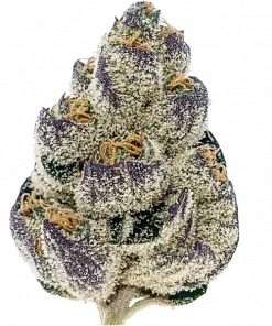 Shishkaberry, tatlı meyve aromaları ve rahatlatıcı etkileriyle bilinen baskın bir Indica türüdür. Afghani genetiğiyle öne çıkar. Özelliklerini keşfedin.