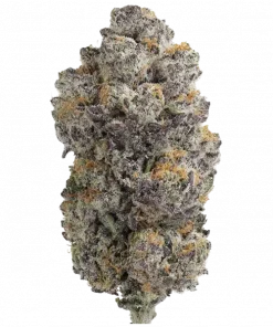 Shot Caller, yakıtımsı ve tatlı aromalarıyla öne çıkan Indica baskın bir türdür. Rahatlatıcı etkileriyle bilinen bu türün genetik yapısını keşfedin.