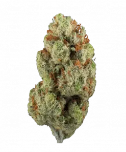 Side Piece, benzersiz meyve aroması ve dengeli etkisiyle öne çıkan bir hibrit türdür. İştah açıcı ve stres giderici özelliklerini keşfedin.