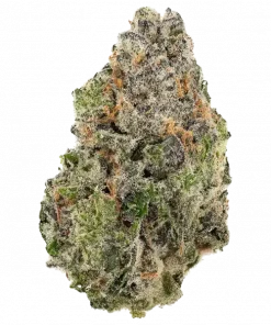 Sideral, tropikal meyve aromaları ve rahatlatıcı etkisiyle bilinen dengeli bir türdür. Lavender Kush ve Amnesia Haze genetiğini keşfedin ve detaylıca görüntüleyin.