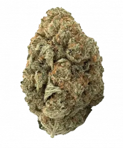 Silver Haze, tatlı narenciye aromaları ve yüksek THC içeriğiyle bilinen Sativa baskın bir türdür. Enerjik etkilerini keşfedin ve hemen görüntüleyin.