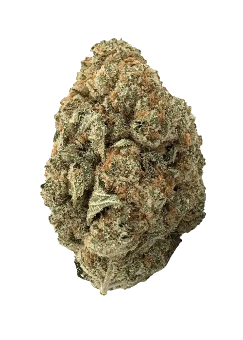 Silver Haze, tatlı narenciye aromaları ve yüksek THC içeriğiyle bilinen Sativa baskın bir türdür. Enerjik etkilerini keşfedin ve hemen görüntüleyin.