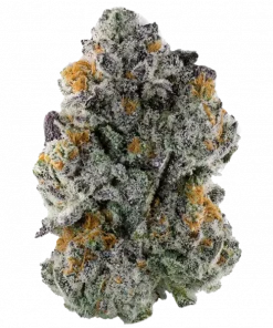 Sinai, toprak kokulu ve yüksek THC'li bir Sativa türüdür. Enerjik ve yaratıcı etkileriyle öne çıkar. Bu eşsiz türü keşfedin.