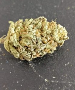 Skunk #1 Regular Esrar Tohumu (Sensi Seeds)