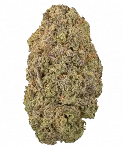 Skunk Haze, narenciye aromaları ve dengeli etkisiyle öne çıkan Sativa baskın bir türdür. Depresyon ve stres için idealdir. Genetik yapısını keşfedin.