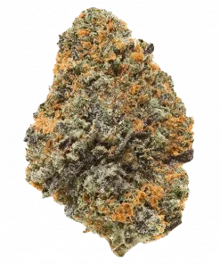 Skunk Hero RBX1, yakıtımsı ve narenciye aromalarıyla öne çıkan dengeli bir türdür. Depresyon ve stresi azaltmaya yardımcı, yaratıcılığı destekleyen etkilerini keşfedin.