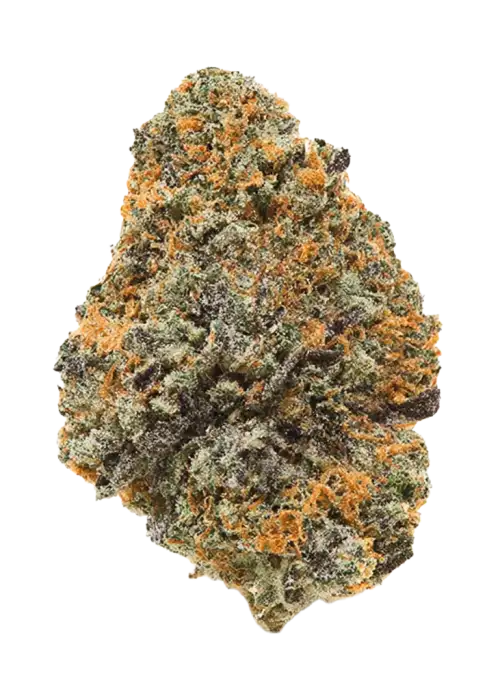 Skunk Hero RBX1, yakıtımsı ve narenciye aromalarıyla öne çıkan dengeli bir türdür. Depresyon ve stresi azaltmaya yardımcı, yaratıcılığı destekleyen etkilerini keşfedin.