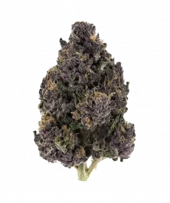 Skunkaveli, tatlı meyve aromaları ve rahatlatıcı etkisiyle bilinen Indica dominant bir türdür. Uykusuzluk ve stresi hafifletmek için ideal. Şimdi keşfedin.