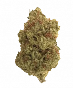 Skunkberry, tatlı meyve ve kimyasal limon aroması notalarıyla öne çıkan dengeli bir hibrit türdür. Yüksek THC içeriğiyle dikkat çeken bu türü keşfedin.