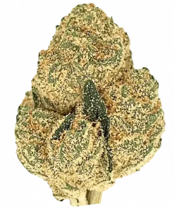 Sky OG, kimyasal limon aroması ve yüksek THC içeriğiyle bilinen indica baskın bir türdür. Skywalker ve OG Kush genetiğini keşfedin ve etkilerini görüntüleyin.