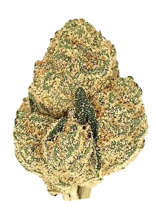 Sky OG, kimyasal limon aroması ve yüksek THC içeriğiyle bilinen indica baskın bir türdür. Skywalker ve OG Kush genetiğini keşfedin ve etkilerini görüntüleyin.