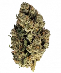 Skywalker, tatlı yaban mersini aroması ve güçlü vücut etkileriyle öne çıkan Indica dominant bir türdür. Yüksek verimli genetik yapısını keşfedin ve hemen görüntüleyin.