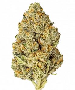 Skywalker Auto, limon ve çam aromalı, rahatlatıcı Indica baskın bir türdür. Stres ve ağrı için ideal. Genetik yapısını keşfedin ve detayları görüntüleyin.