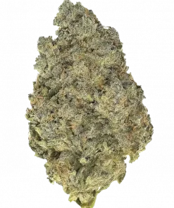 Skywalker Haze, kimyasal limon aroması ve rahatlatıcı etkisiyle bilinen dengeli bir türdür. Sativa ve Indica genetik yapısını keşfedin ve etkilerini görüntüleyin.