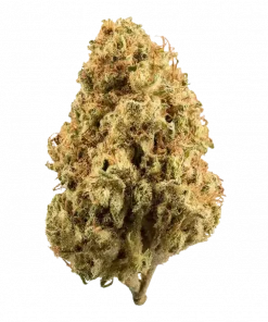 Skywalker Kush, tatlı ve çam aromalı, yüksek THC'li Indica dominant bir türdür. Öfori ve rahatlama sunar. Bu popüler türü keşfedin.