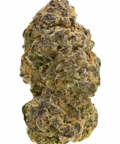 Slammin Salmon, yakıtımsı aroması ve 'ye varan THC içeriğiyle bilinen indica baskın bir türdür. Stres ve ağrı için ideal genetik yapısını keşfedin.