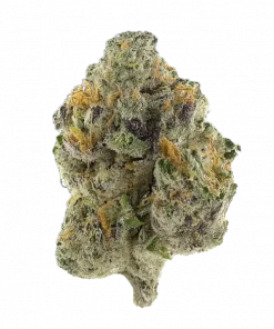 Slap and Tickle, üzüm ve kahve aromalı, yüksek THC'li Indica dominant bir türdür. Derin rahatlama ve öfori sağlar. Genetik yapısını keşfedin ve deneyimleyin.