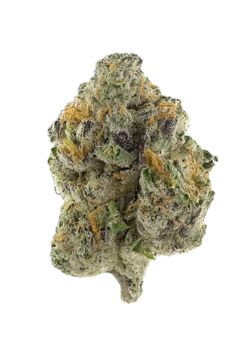 Slap and Tickle, üzüm ve kahve aromalı, yüksek THC'li Indica dominant bir türdür. Derin rahatlama ve öfori sağlar. Genetik yapısını keşfedin ve deneyimleyin.