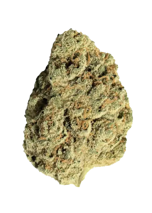 Slapz, sert yakıtımsı aroması ve yüksek THC içeriğiyle bilinen hibrit bir türdür. Runtz ve Grease Monkey genetiğiyle öne çıkar. Özelliklerini keşfedin.