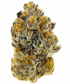 Voyage Bloom Slurmz, yakıtımsı ve tatlı aromaları ile öne çıkan Indica dominant türdür. Yoğun rahatlama ve öfori için ideal. Genetik yapısını keşfedin.