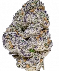 Slurricane, tatlı meyve aroması ve yüksek THC içeriğiyle bilinen Indica dominant bir türdür. Rahatlatıcı etkileriyle öne çıkar. Özelliklerini keşfedin.