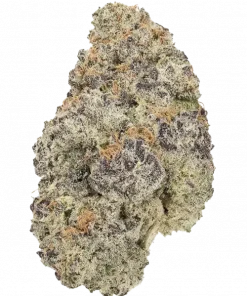 Slurricane #7 S1, yakıtımsı aroması ve güçlü etkileriyle bilinen indica baskın bir türdür. Uykusuzluğa iyi gelir. Genetik yapısını keşfedin ve hemen görüntüleyin.