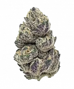 Slurricrasher, böğürtlen aromaları ve yüksek THC içeriğiyle bilinen Indica baskın bir türdür. Güçlü etkilerini ve genetik yapısını keşfedin.